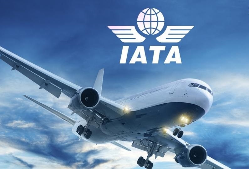 Міжнародна асоціація повітряного транспорту (IATA) планує створити медичний проїзний (IATA Travel Pass)